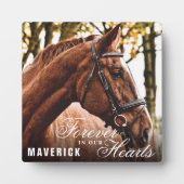 Elegant Onze Herinnering Paard Gedenkteken Fotoplaat (Voorkant)