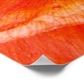 Elegant oppy Flower Quote Grateful Heart Poster (Hoek)