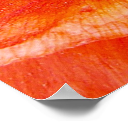 Elegant oppy Flower Quote Grateful Heart Poster (Hoek)