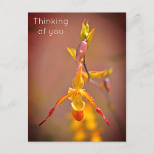 Elegant OrangeYellow Orchid Flower Thinking of You Feestdagenkaart
