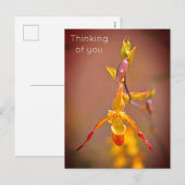 Elegant OrangeYellow Orchid Flower Thinking of You Feestdagenkaart (Voorkant / Achterkant)