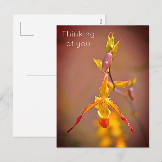 Elegant OrangeYellow Orchid Flower Thinking of You Feestdagenkaart (Voorkant / Achterkant)