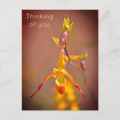Elegant OrangeYellow Orchid Flower Thinking of You Feestdagenkaart (Voorkant)