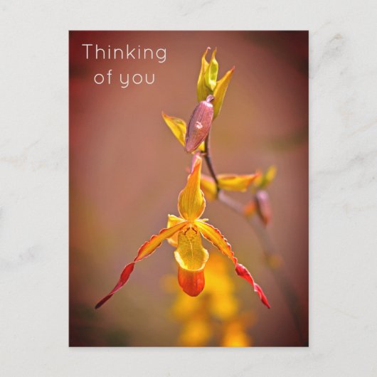 Elegant OrangeYellow Orchid Flower Thinking of You Feestdagenkaart (Voorkant)