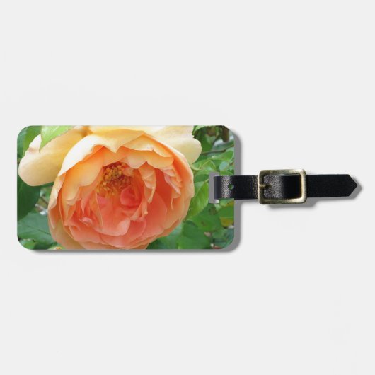 Elegant Oranje Blush Roos Bagagelabel (Voorkant horizontaal)