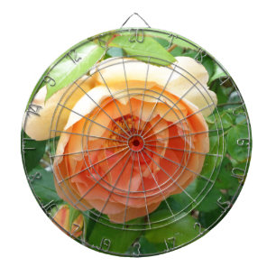Elegant Oranje Blush Roos Dartbord