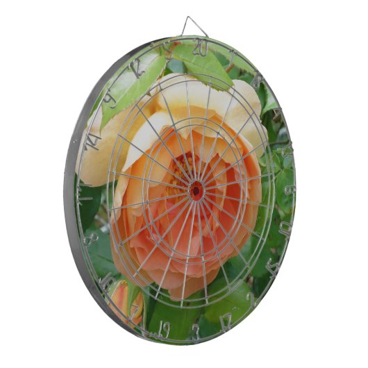 Elegant Oranje Blush Roos Dartbord (Voorkant Links)