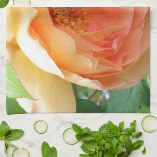 Elegant Oranje Blush Roos Theedoek (Gevouwen)