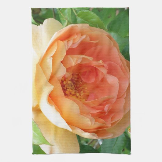 Elegant Oranje Blush Roos Theedoek (Verticaal)
