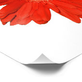 Elegant Oranje Daisy Photo Print Foto Afdruk (Hoek)