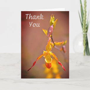 Elegant Oranje Geel Orchidee Bloem Dank u Kaart