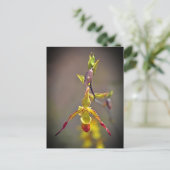 Elegant Oranje Geel Orchidee Botanische Bloem Feestdagenkaart (Staand voorkant)