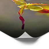 Elegant Oranje Geel Orchidee Botanische Bloem Poster (Hoek)