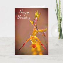Elegant Oranje Geel Orchidee Flower Happy Birthday