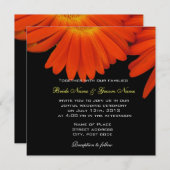 elegant oranje gerbera daisy bruiloft kaart (Voorkant / Achterkant)