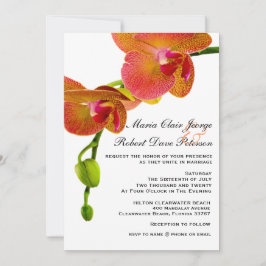 Elegant Oranje orchideeën Tropisch strand Weddensc Kaart