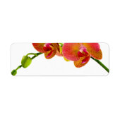 Elegant Oranje Orchids Aangepast blanco labels (Voorkant)