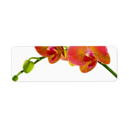 Elegant Oranje Orchids Aangepast blanco labels