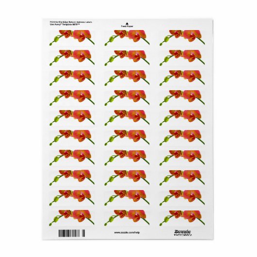 Elegant Oranje Orchids Aangepast blanco labels (Full Sheet)