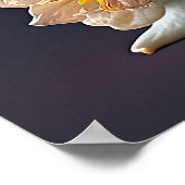 Elegant Oranje White Amaryllis Flower Poster (Hoek)