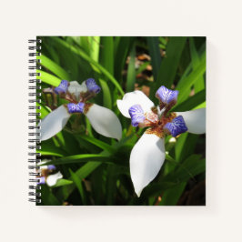 Elegant Orchid Hard Hoesje Journal Notitieboek