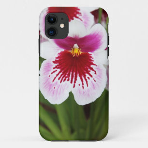 Elegant orchid iris grafische foto iPhone 5hoesje iPhone 11 Hoesje