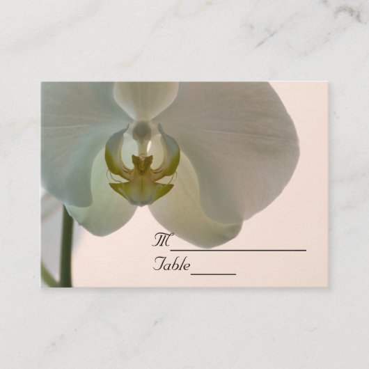 Elegant Orchid Wedding Place Card Plaatskaartje (Voorkant)