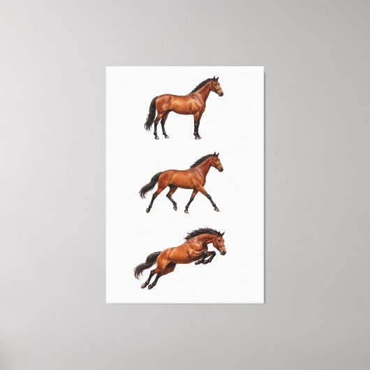 Elegant Paard Muurkunst Poster Canvas Afdruk (Voorkant)