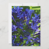Elegant Paars Agapanthus Flowers Bereavement Bedankkaart (Achterkant)