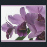 Elegant Paars Cattleya Orchids Cadeaupapier<br><div class="desc">Papa's orchideeën in bloom weer. Paars Cattleya Orchids Gift Wrapping Paper. De prachtige vorm en complexiteit van de bloem en hun aantrekkelijke geesten hebben het hart van velen gewonnen.Originele fotografie door riverme* ©2009.</div>