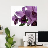 Elegant Paars Cattleya Orchids Poster (Thuiskantoor)