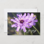 Elegant,  paars dagblad rsvp kaartje (Achterkant)