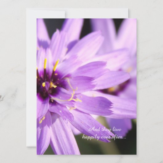 Elegant,  paars dagenbloem, bruiloft kaart (Achterkant)
