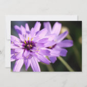 Elegant,  paars dagenbloem, bruiloft kaart (Achterkant)