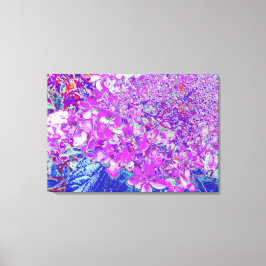 Elegant Paars en Blue Limelight Hydrangea Canvas Afdruk
