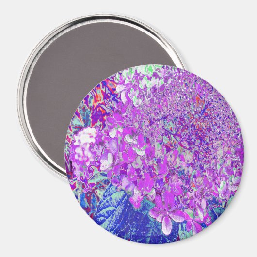 Elegant Paars en Blue Limelight Hydrangea Magneet (Voorkant / Achterkant)