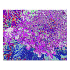 Elegant Paars en Blue Limelight Hydrangea Perfect Poster