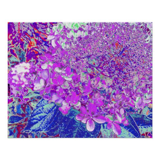 Elegant Paars en Blue Limelight Hydrangea Perfect Poster (Voorkant)