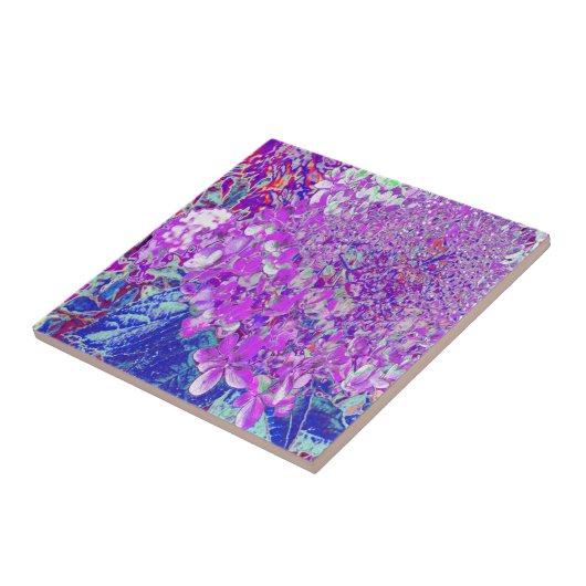 Elegant Paars en Blue Limelight Hydrangea Tegeltje (Zijkant)