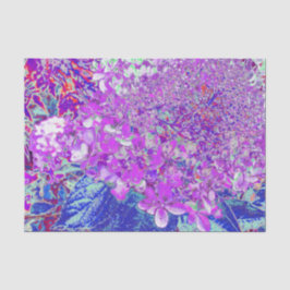 Elegant Paars en Blue Limelight Hydrangea Tissuepapier