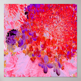 Elegant Paars en Oranje Licht Hydrangea Poster