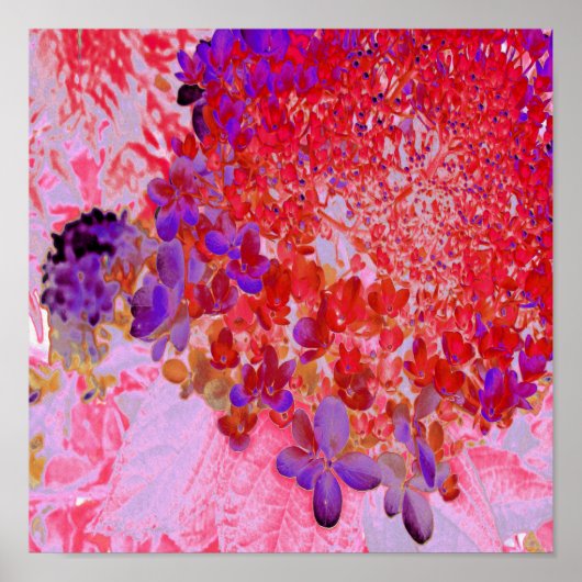 Elegant Paars en Oranje Licht Hydrangea Poster (Voorkant)