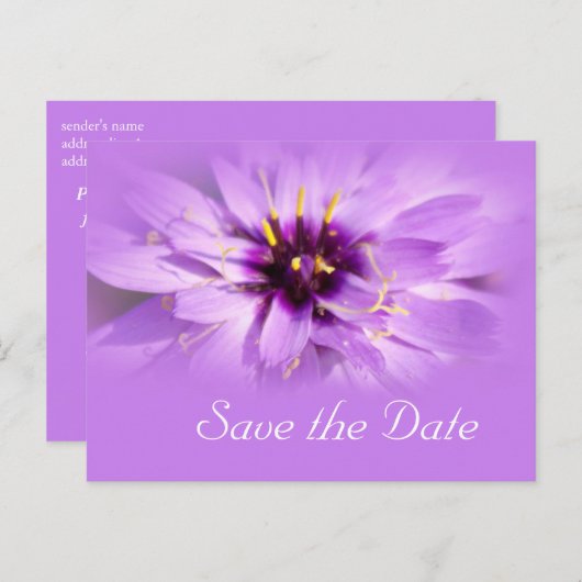 Elegant paars maisy flower, met uitzondering van d aankondigingskaart (Voorkant / Achterkant)