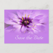 Elegant paars maisy flower, met uitzondering van d aankondigingskaart (Voorkant)