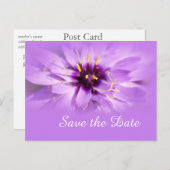 Elegant paars maisy flower, met uitzondering van d aankondigingskaart (Voorkant / Achterkant)