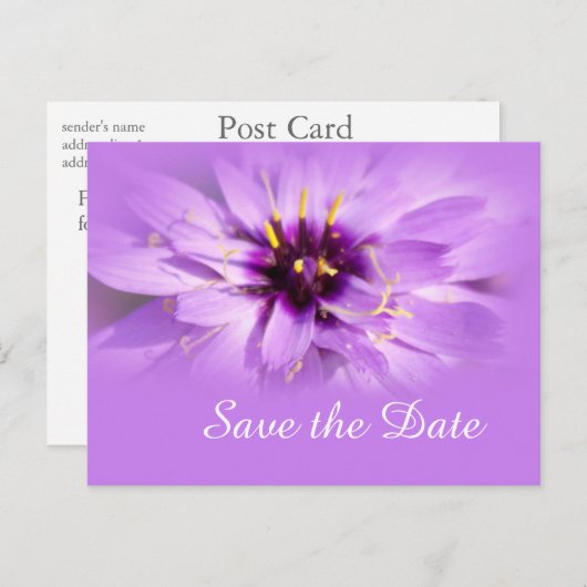 Elegant paars maisy flower, met uitzondering van d aankondigingskaart (Voorkant / Achterkant)