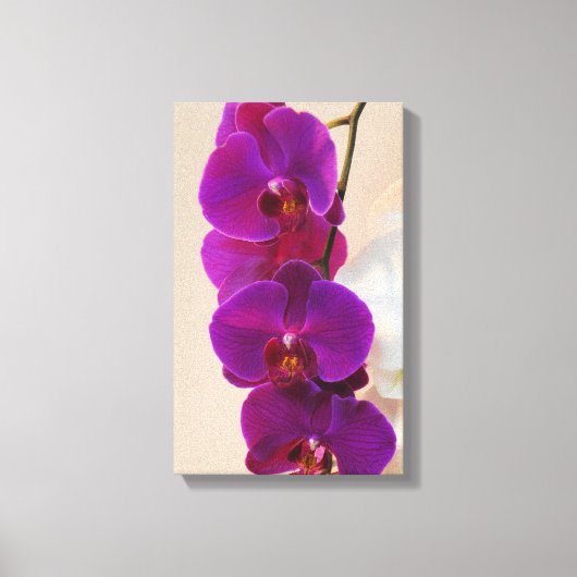 Elegant Paars Orchid Wrapped Canvas Afdruk (Voorkant)