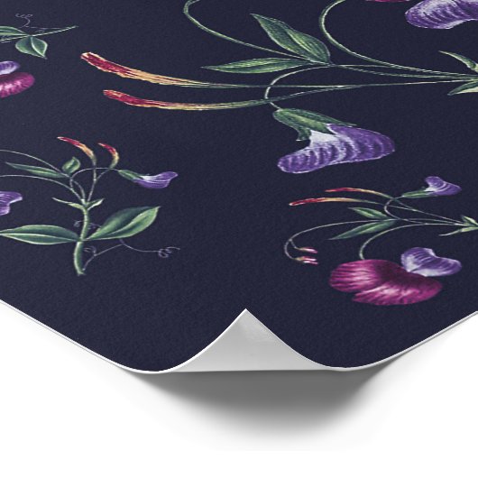 Elegant Paars Orchids Floral Pattern | Poster (Hoek)