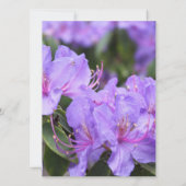 Elegant paars veer/zomerbruiloft kaart (Achterkant)