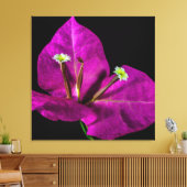 Elegant Paarse Bougainvillea Canvas Afdruk (Insitu (Woonkamer))